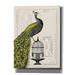 Bungalow Rose House of Hampton® 'Peacock Birdcage I' By Sue Schlabach, Giclee Canvas Wall Art, 18"X26" Canvas in Green | Wayfair