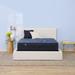 King Firm 12" Hybrid Mattress - Serta Perfect Sleeper Pacific Peace | 79.5 H x 76 W 12 D in Wayfair 500108981-1060