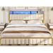 Mercer41 Kisag Metal Storage Bed Metal in Brown/Yellow | 39.8 H x 77.4 W x 86.8 D in | Wayfair CD010F52AC294AACAF07B218E14449E1