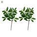 Farfi 2 Branches Artificial Plant Vivid Fresh-keeping UV-resistant Fake Green Eucalyptus Leaves Stems Party Decor (Type D)