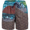 ARENA Herren Badeshorts MEN'S BEACH BOXER PLACED, Größe XL in Bunt