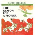 The Reason For A Flower