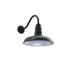 Williston Forge Topanga - Industrial Style Wall Fixture in Black | 14.5 H x 14 W x 22 D in | Wayfair 64D0CFF532404319AA70DA51A8F30067