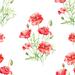 Wildflowers and Red Poppies Peel and Stick Wallpaper - 24'' W x 10' L
