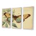 August Grove® Vintage Illustration Of Butterfly VI - Animals Butterfly Canvas Wall Art Set_80517 Canvas in White | 28 H x 36 W x 1 D in | Wayfair