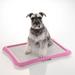 Richell Paw Trax Mesh Training Tray, Dog Pee Pad Holder Polyester/Memory Foam in Pink | 1.6 H x 26.2 W x 19.9 D in | Wayfair 94555