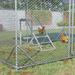 Tucker Murphy Pet™ Darea 4.13 ft² Chicken Coop w/ Wire Mesh | 28 H x 37.75 W x 15.75 D in | Wayfair 2A51D9926326408ABD6D2E0C0B019E42