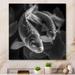 Bay Isle Home™ Monochrome Koi Fish - Animal Fish Metal Wall Décor Metal in White | 36 H x 36 W x 1 D in | Wayfair DEE6B4369B7945D7AFE3B788EA7B7568