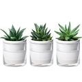D'vine Dev 4 Inch Design Self Watering Planter for Indoor Plants, White Terracotta Pots with Cylinder Glass Cup, Set of 3, 373-A-3