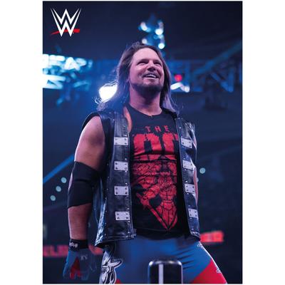 WWE AJ Styles In Ring Poster – ungerahmt A3 Image