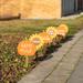 Glitzhome 6 Pack Fall Wooden Pumpkin & Sunflower Yard Stake