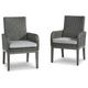 Signature Design by Ashley Casual Elite Park Arm Chair with Cushion (Set of 2) Gray