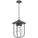 Erlenmeyer 16.9"H Coastal Natural Iron Outdoor Pendant w/ Clear Glass