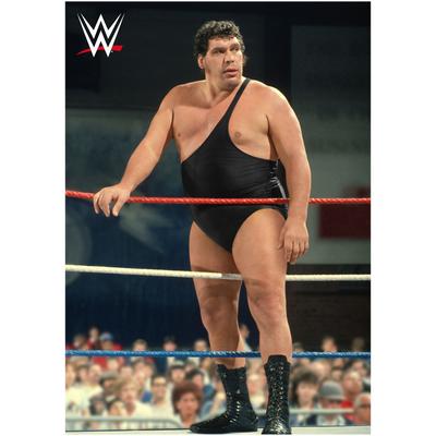 WWE Andre the Giant in Ring Poster – ungerahmt A3 Image