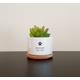 Pet Memorial Planter Pot For Succulents, Cacti, Personalized Gift Loss, Sympathy, Condolences, Dog, Cat