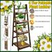 Dazone Foldable Plant Stand Shelf Indoor Flower Pot Holder Ladder Folding A Frame Display Patio Rustic Wood Shelves 4 Tier Stand Outdoor Bookshelf Free Standing (Brown)