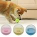 UDIYO Pet Toy Ball Shape Transparent Surface Leaking Food Pet Interactive Leaking Treat Toy for Home Use