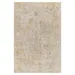 Surya Reina REN 2310 Area Rug - REN2310-53RD