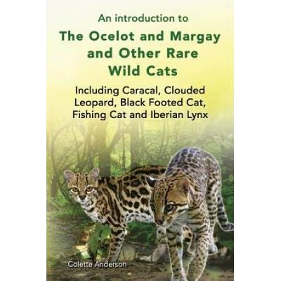 An Introduction To The Ocelot And Margay And Other...