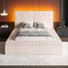 Wade Logan® Ellenburg Tufted Low Profile Storage Platform Bed Upholstered/Velvet/Metal in Pink | King | Wayfair 600FB4992F204C6D92F330175385094E