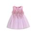 Lieserram Toddler Kids Girl Princess Dresses 6 12 18 24 Months 2T 3T 4T 5T Summer Sleeveless Pearl Lace Party Tutu Gown Dress