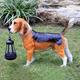 ZZYYZZ Garden Dog Statues, Outdoor Solar Beagles Decor with Solar Lights, Standing Dog Ornaments, for Patio, Lawn, Yard,Big Dog