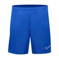 Nike Mens Dri-fit Academy Knit Soccer Shorts