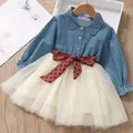 Robes tutu en maille à manches longues pour bébés filles vêtements de princesse pour enfants