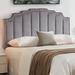 Willa Arlo™ Interiors Bulah Velvet Headboard Upholstered/Velvet in Gray | 55 H x 78 W x 4 D in | Wayfair 0FDB085CD20E46E883533667A66C2C6F