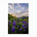 Millwood Pines Dan Ballard 'Alpine Johnson' Outdoor Canvas All-Weather Canvas | 19 H x 12 W x 1.5 D in | Wayfair 5A6A7BB262FC4F3D8EA8C8279979B63E