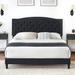 Red Barrel Studio® Rozella Tufted Platform Bed Upholstered in Black | 44.3 H x 80.3 W x 60.2 D in | Wayfair 89F1D1D5297B4CB49029B3A98449F973