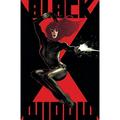 Pre-Owned Black Widow by Kelly Thompson Vol. 1: The Ties That Bind Paperback