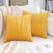 BESTSPR 2 Pcs Velvet Throw Pillow Covers Decorative Soft Solid Outdoor Cushion Covers for Couch Bed Sofa