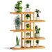 Arlmont & Co. Ximena 5 Layers 11 Potted Flower Plant Stand Bamboo Wood Storage Organizer Free Standing Wood/Solid Wood in Brown | Wayfair