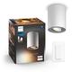 Philips Hue Pillar White Ambiance Smart Single Ceiling Spotlight Led [Gu10 Spot] with Bluetooth, White & Dimmer Switch Works with Alexa, Google Assistant and Apple Homekit