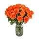 12 Long Stemmed Orange Roses ? 12 Orange Roses, Fresh Orange Roses, Orange Roses Delivery UK, Orange Roses Bouquet, Orange Roses UK, Orange Roses Delivery, Orange Rose Bouquet