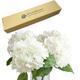 ZooeyRoose 3PCS White Hydrangea Artificial Flowers,21inchs Real Touch Faux Hydrangea Flowers for Decoration,Wedding Centerpieces Fake Flowers for Tables Bride Bridesmaid Bouquet Party Home Garden