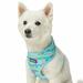 Soft & Comfy Seahorse and Friends Print Adjustable Dog Harness Vest, Medium