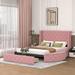 Red Barrel Studio® Arenberg Queen Storage Bed Upholstered/Velvet in Pink | 40.5 H x 88.2 W x 85 D in | Wayfair 84100EE099224BE08DFA71F02C6E77D8