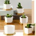 Gaiseeis Hexagonal Succulent Planter With Tray White Mini Ceramic Planter White