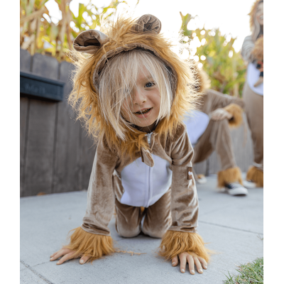 Baby / Toddler Lion Costume