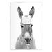 Stupell Industries Donkey Toilet Paper Funny Bathroom by Annalisa Latella Graphic Art in Gray | 19 H x 13 W x 0.5 D in | Wayfair aw-307_wd_13x19