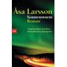 Sonnensturm / Rebecka Martinsson Bd.1 - Åsa Larsson