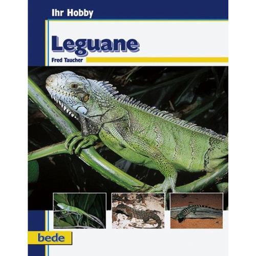 Ihr Hobby Leguane – Fred Taucher