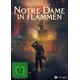 Notre-Dame in Flammen (DVD) - EuroVideo