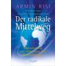 Der radikale Mittelweg - Armin Risi