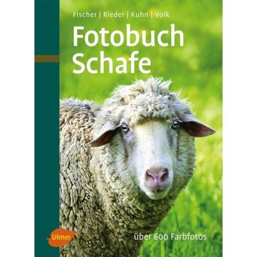 Fotobuch Schafe – Gerhard Fischer, Hugo Rieder, Fridhelm Volk