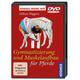 Gymnastizierung und Muskelaufbau für Pferde, DVD-Video (DVD) - Kosmos (Franckh-Kosmos)
