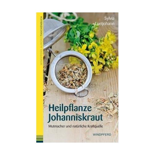 Heilpflanze Johanniskraut - Sylvia Luetjohann