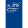 Nachgelassene Schriften. Abteilung IV: Vorlesungen / Nachgelassene Schriften 4. Abt.: Vorlesungen, Bd.9 - Theodor W. Adorno